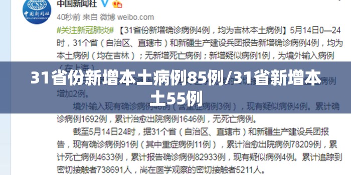 31省份新增本土病例85例/31省新增本土55例 31省份新增本土病例85例/31省新增本土55例