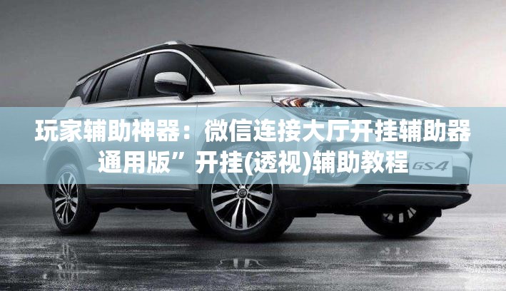 玩家辅助神器：微信连接大厅开挂辅助器通用版”开挂(透视)辅助教程