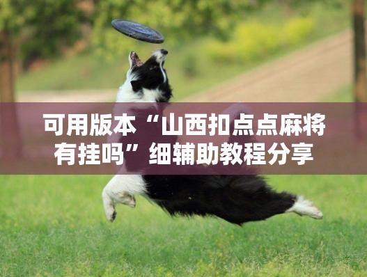 可用版本“山西扣点点麻将有挂吗”细辅助教程分享