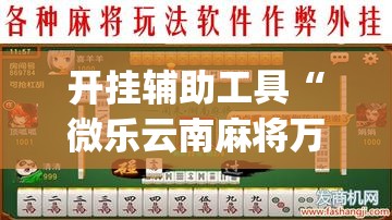 开挂辅助工具“微乐云南麻将万能开挂器	”(透视挂)辅助下载教程