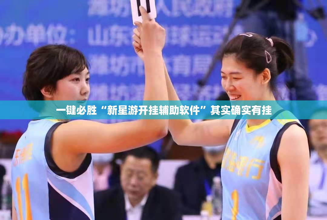 一键必胜“新星游开挂辅助软件”其实确实有挂