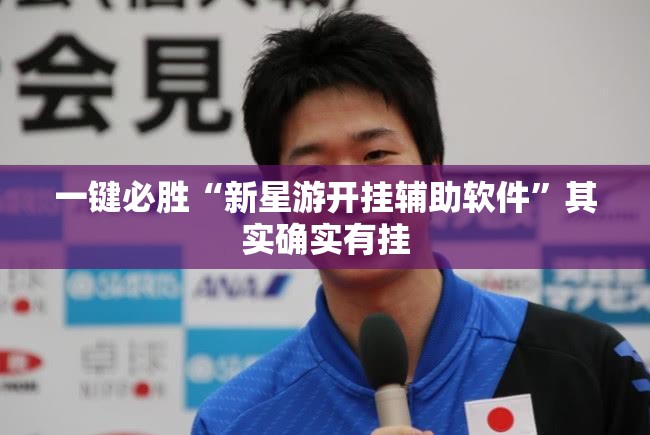 一键必胜“新星游开挂辅助软件	”其实确实有挂