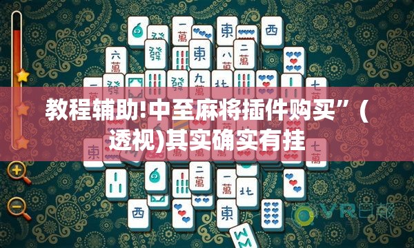 教程辅助!中至麻将插件购买”(透视)其实确实有挂