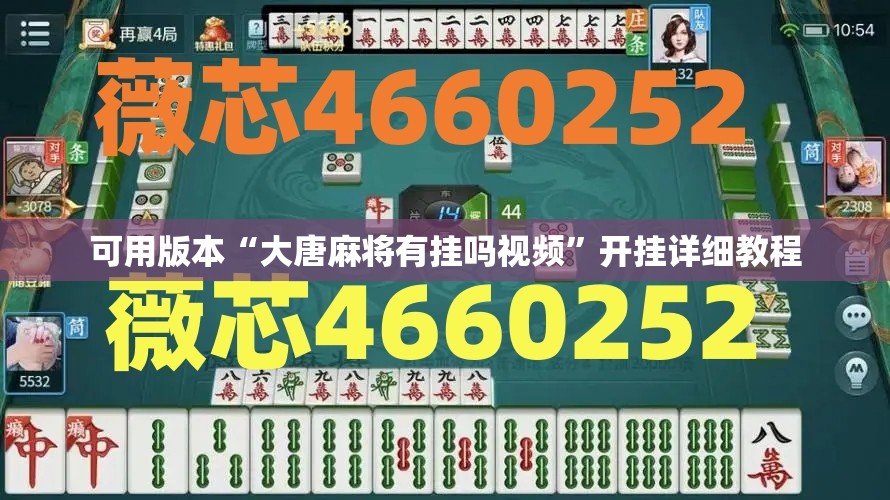 可用版本“大唐麻将有挂吗视频”开挂详细教程
