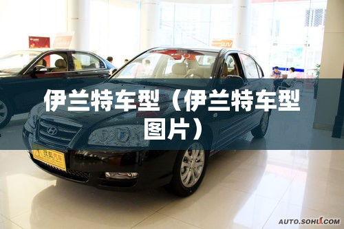 伊兰特车型(伊兰特车型图片) 伊兰特车型(伊兰特车型图片)
