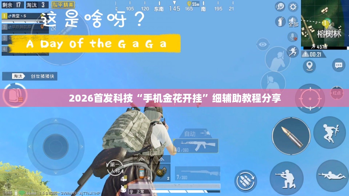 2026首发科技“手机金花开挂”细辅助教程分享
