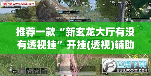 推荐一款“新玄龙大厅有没有透视挂	”开挂(透视)辅助神器
