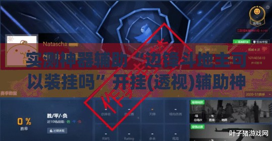 实测神器辅助“边锋斗地主可以装挂吗”开挂(透视)辅助神器