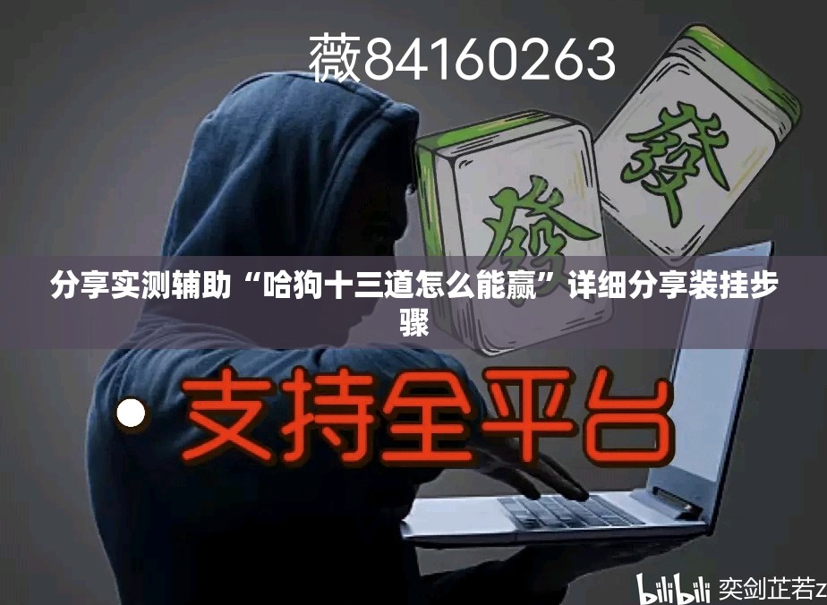 分享实测辅助“哈狗十三道怎么能赢”详细分享装挂步骤