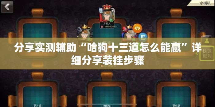 分享实测辅助“哈狗十三道怎么能赢	”详细分享装挂步骤