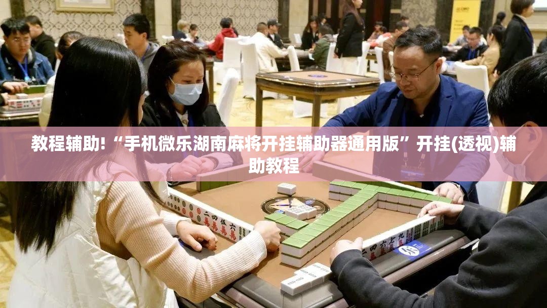 教程辅助!“手机微乐湖南麻将开挂辅助器通用版”开挂(透视)辅助教程