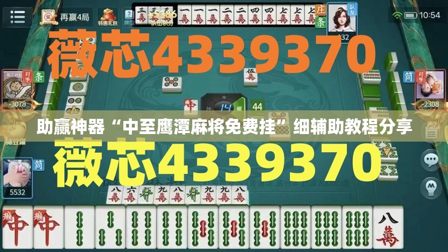 助赢神器“中至鹰潭麻将免费挂”细辅助教程分享
