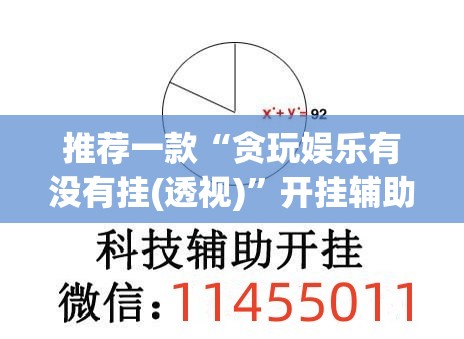 推荐一款“贪玩娱乐有没有挂(透视)”开挂辅助脚本+详细开挂安装教程
