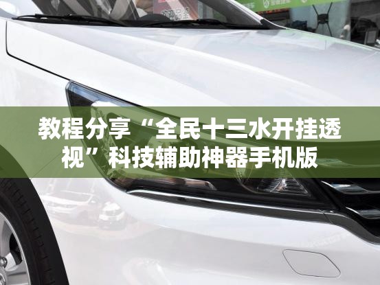 教程分享“全民十三水开挂透视”科技辅助神器手机版