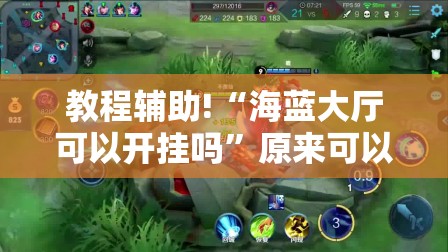教程辅助!“海蓝大厅可以开挂吗”原来可以开挂