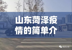 山东菏泽疫情的简单介绍