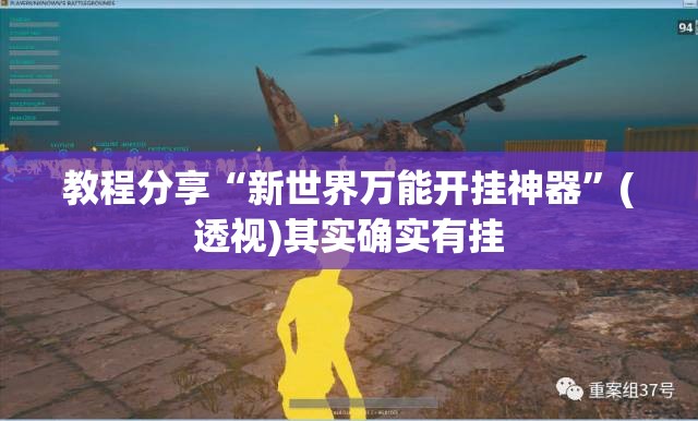 教程分享“新世界万能开挂神器	”(透视)其实确实有挂