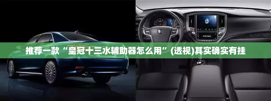 推荐一款“皇冠十三水辅助器怎么用”(透视)其实确实有挂