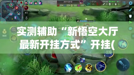 实测辅助“新悟空大厅最新开挂方式”开挂(透视)辅助神器