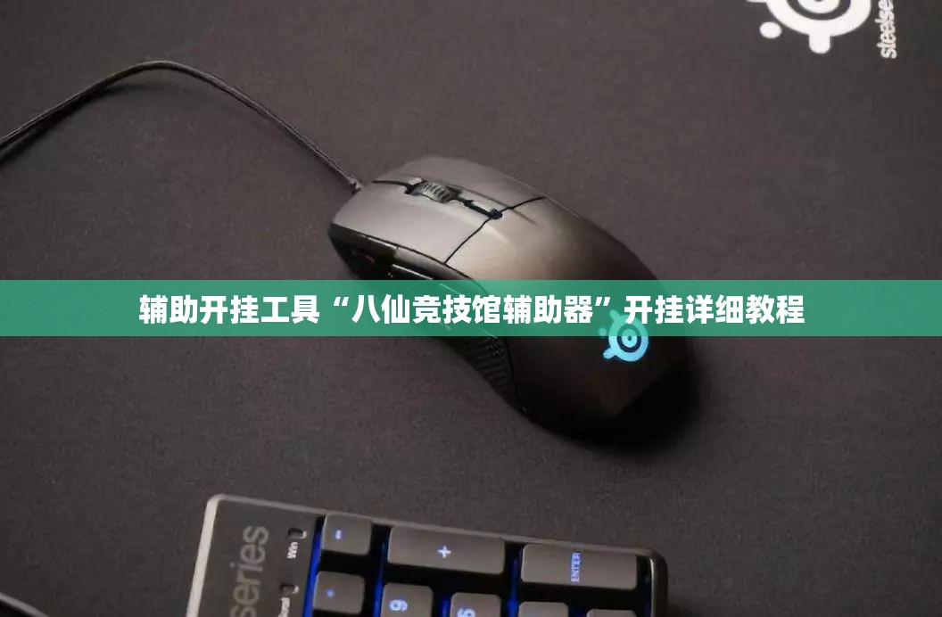 辅助开挂工具“八仙竞技馆辅助器”开挂详细教程