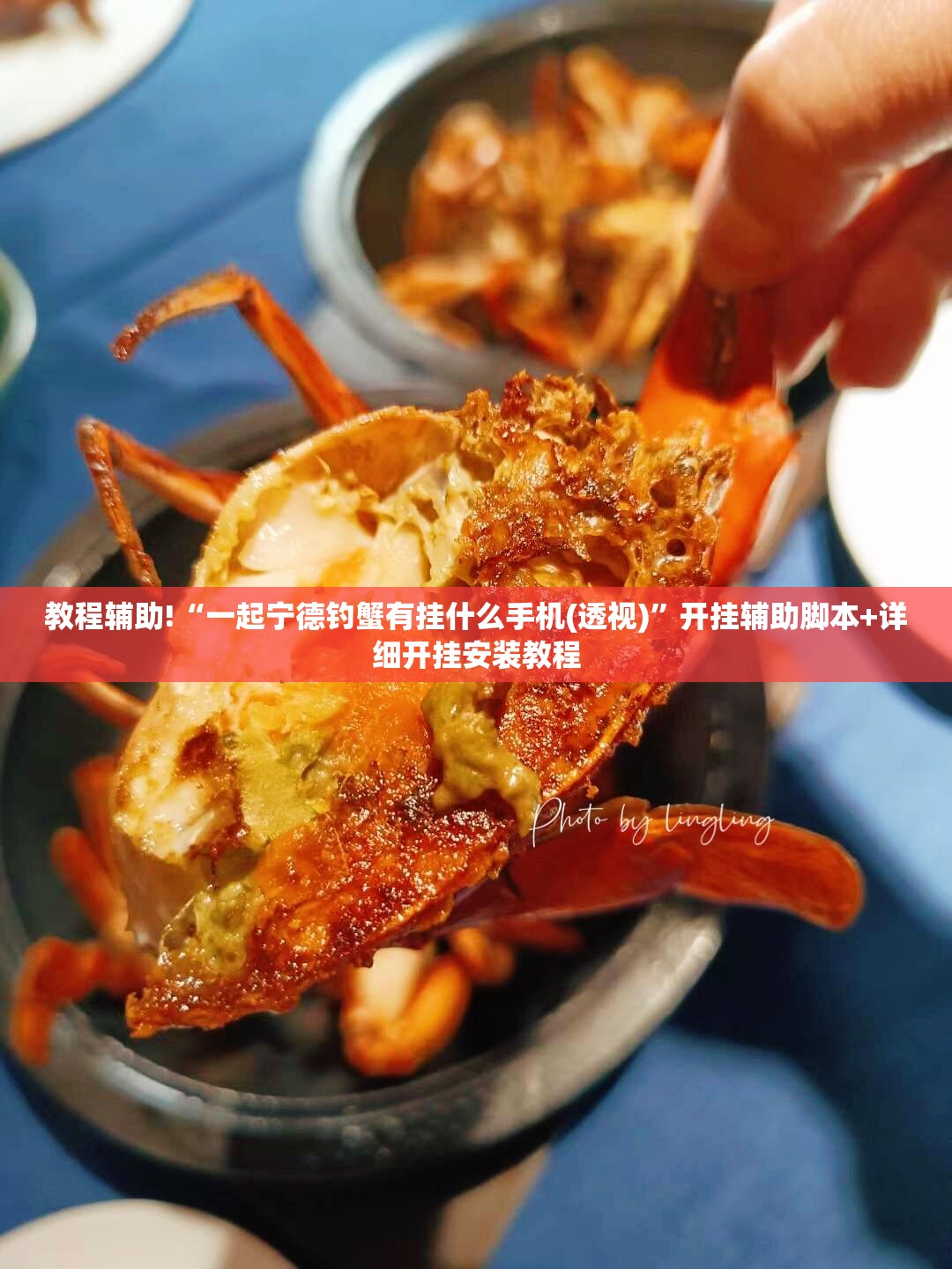 教程辅助!“一起宁德钓蟹有挂什么手机(透视)”开挂辅助脚本+详细开挂安装教程