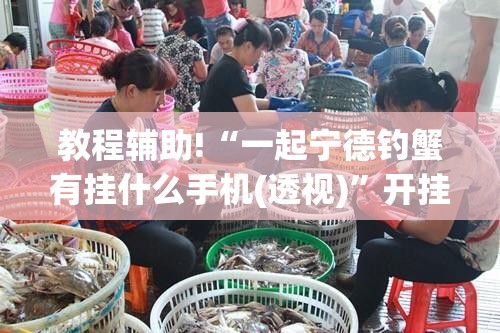 教程辅助!“一起宁德钓蟹有挂什么手机(透视)”开挂辅助脚本+详细开挂安装教程