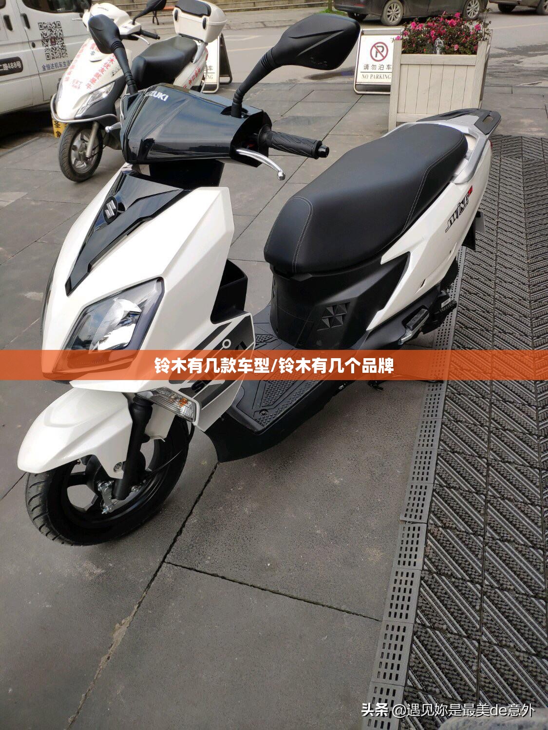 铃木有几款车型/铃木有几个品牌