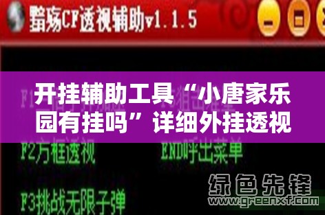 开挂辅助工具“小唐家乐园有挂吗”详细外挂透视辅助软件教程