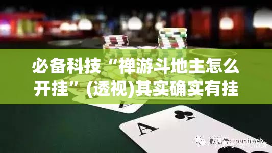 必备科技“禅游斗地主怎么开挂	”(透视)其实确实有挂