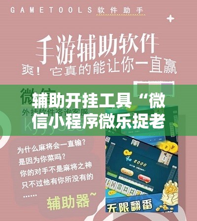 辅助开挂工具“微信小程序微乐捉老麻子到底有没有挂”开挂辅助脚本+详细开挂安装教程