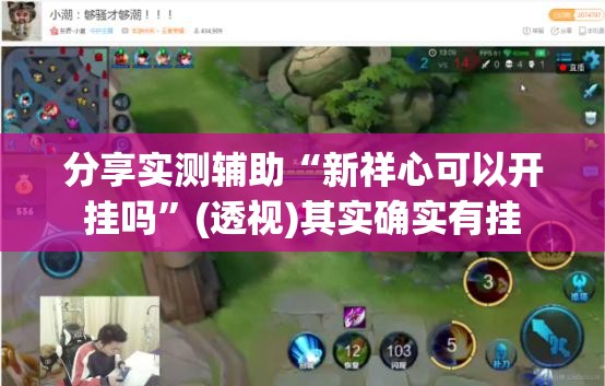 分享实测辅助“新祥心可以开挂吗	”(透视)其实确实有挂