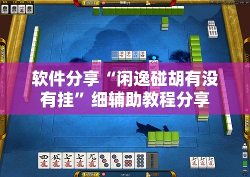 软件分享“闲逸碰胡有没有挂”细辅助教程分享