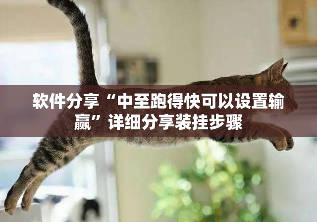 软件分享“中至跑得快可以设置输赢”详细分享装挂步骤