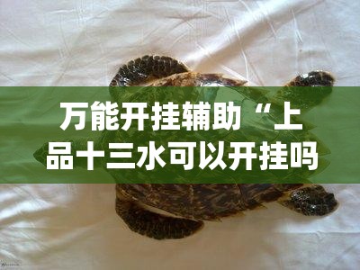 万能开挂辅助“上品十三水可以开挂吗	”(辅助神器)开挂详细教程