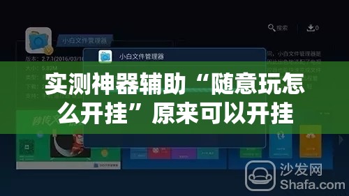实测神器辅助“随意玩怎么开挂”原来可以开挂