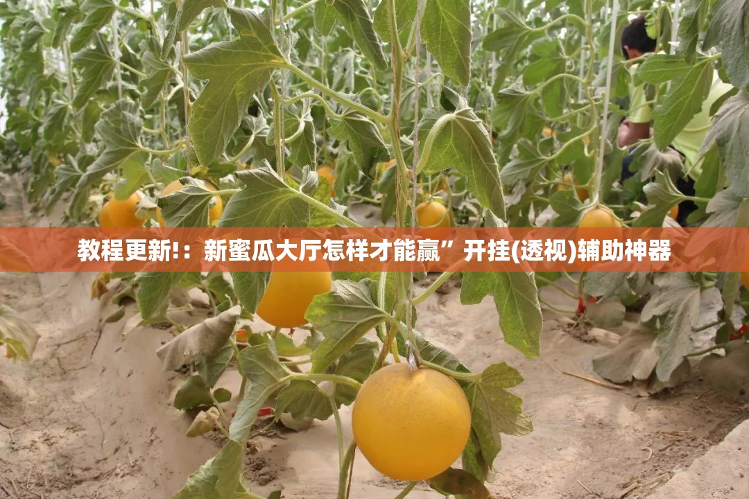 教程更新!：新蜜瓜大厅怎样才能赢	”开挂(透视)辅助神器