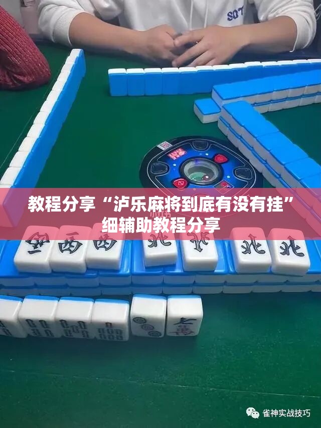 教程分享“泸乐麻将到底有没有挂	”细辅助教程分享
