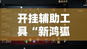 开挂辅助工具“新鸿狐大厅透视挂”其实确实有挂