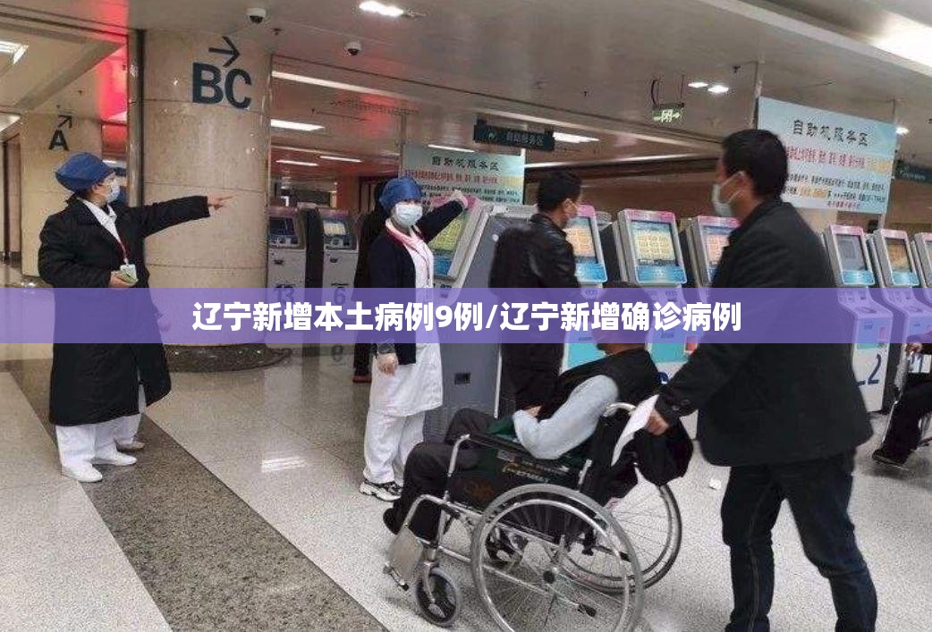 辽宁新增本土病例9例/辽宁新增确诊病例 辽宁新增本土病例9例/辽宁新增确诊病例