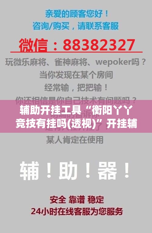 辅助开挂工具“衡阳丫丫竞技有挂吗(透视)”开挂辅助脚本+详细开挂安装教程
