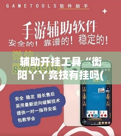 辅助开挂工具“衡阳丫丫竞技有挂吗(透视)”开挂辅助脚本+详细开挂安装教程