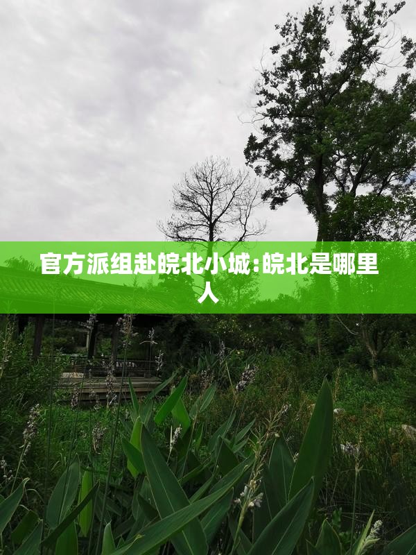 官方派组赴皖北小城:皖北是哪里人