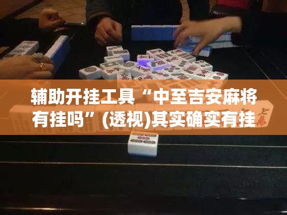 辅助开挂工具“中至吉安麻将有挂吗”(透视)其实确实有挂
