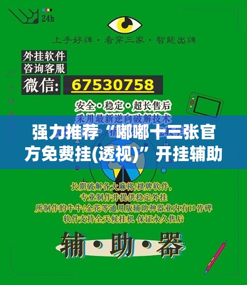 强力推荐“嘟嘟十三张官方免费挂(透视)”开挂辅助脚本+详细开挂安装教程