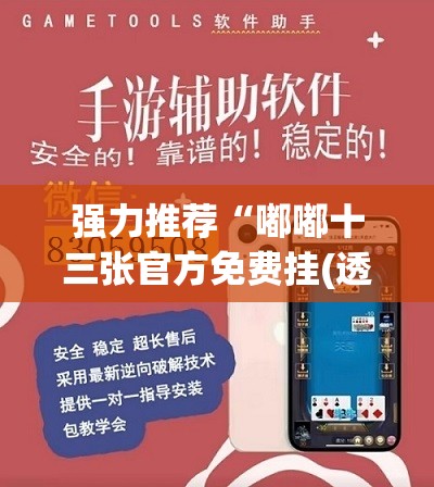 强力推荐“嘟嘟十三张官方免费挂(透视)	”开挂辅助脚本+详细开挂安装教程