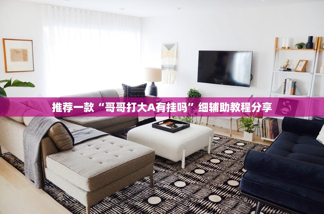 推荐一款“哥哥打大A有挂吗”细辅助教程分享
