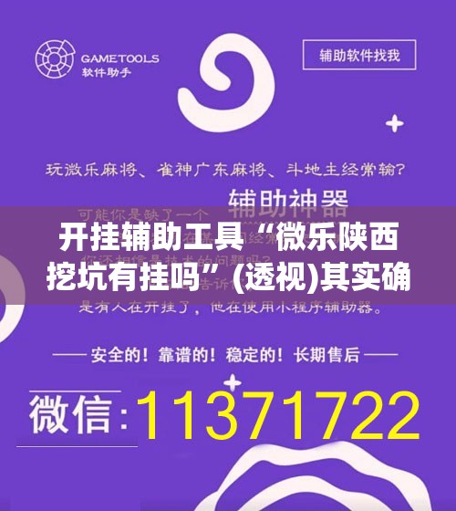 开挂辅助工具“微乐陕西挖坑有挂吗”(透视)其实确实有挂