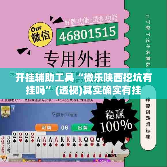 开挂辅助工具“微乐陕西挖坑有挂吗”(透视)其实确实有挂