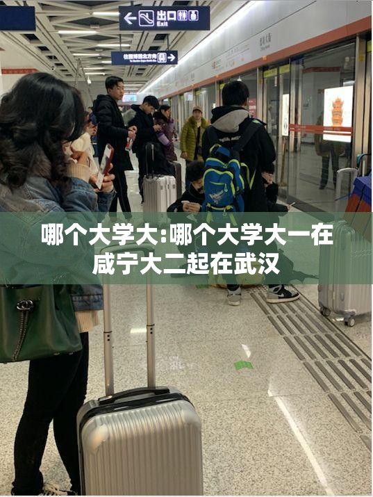 哪个大学大:哪个大学大一在咸宁大二起在武汉 哪个大学大:哪个大学大一在咸宁大二起在武汉