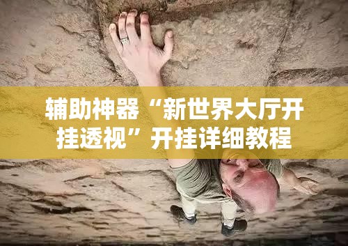 辅助神器“新世界大厅开挂透视	”开挂详细教程